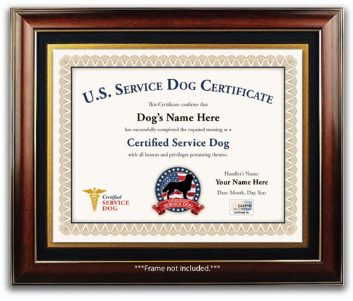 Service Dog Certificate Personalized USA EMOTIONAL SUPPORT THERAPY TRAINING ESA