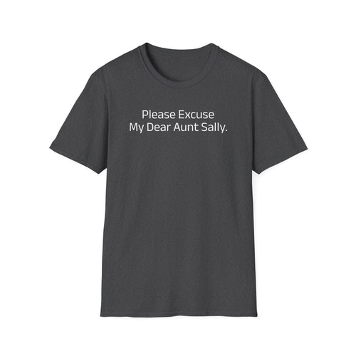 Please Excuse My Dear Aunt Sally' T-Shirt | Mathematical Order of Operations Humor Tee