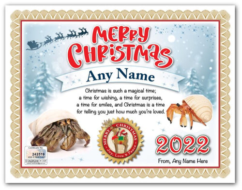 PERSONALIZED CHRISTMAS CERTIFICATE - Hermit Crab Kit Aquarium Shell - GREAT GIFT