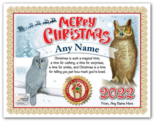 PERSONALIZED CHRISTMAS CERTIFICATE - Owl Bird Lover White Horned - GREAT GIFT