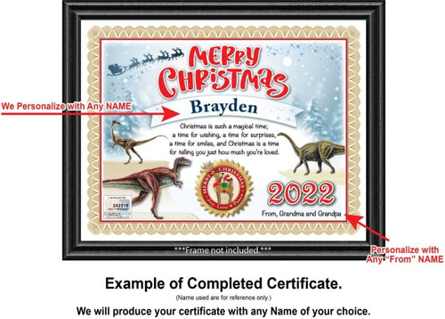 PERSONALIZED CHRISTMAS CERTIFICATE Dinosaur T-Rex Tyrannosaurus Rex GREAT GIFT