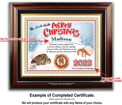 PERSONALIZED CHRISTMAS CERTIFICATE - Hermit Crab Kit Aquarium Shell - GREAT GIFT