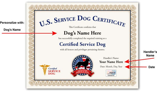 Service Dog Certificate Personalized USA EMOTIONAL SUPPORT THERAPY TRAINING ESA