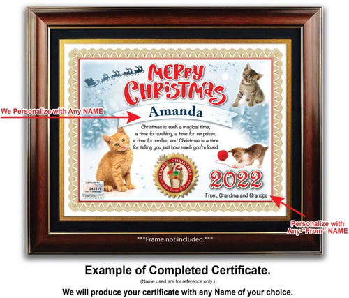 PERSONALIZED CHRISTMAS CERTIFICATE - Kitten Cat Lover Cute Toys Tree GREAT GIFT