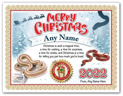 PERSONALIZED CHRISTMAS CERTIFICATE - Snake Reptile Lover Terrarium - GREAT GIFT