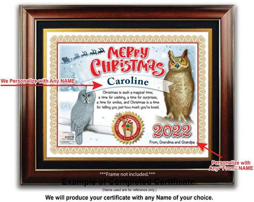 PERSONALIZED CHRISTMAS CERTIFICATE - Owl Bird Lover White Horned - GREAT GIFT